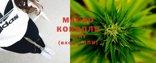 шишки Аркадак