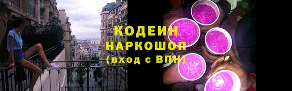 шишки Аркадак