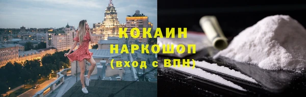 шишки Алексин