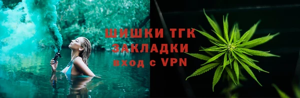 шишки Аркадак