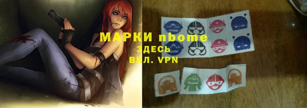 шишки Аркадак