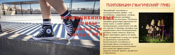 шишки Аркадак