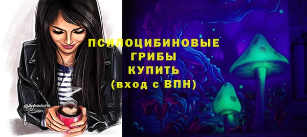 шишки Аркадак