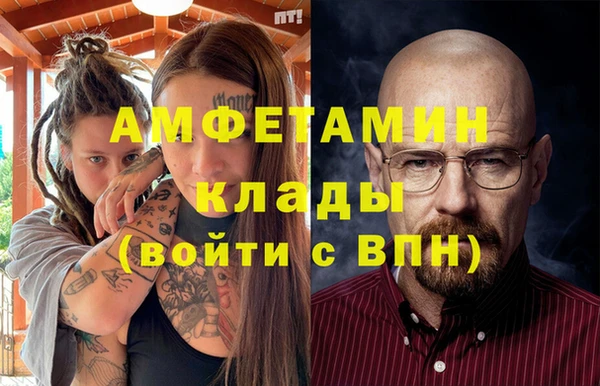 шишки Аркадак