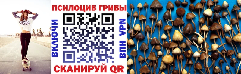 Псилоцибиновые грибы GOLDEN TEACHER  Купить  Балабаново 